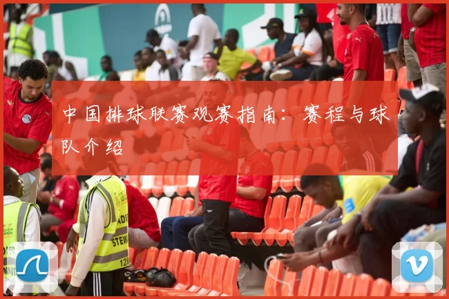 中国排球联赛观赛指南:赛程与球队介绍