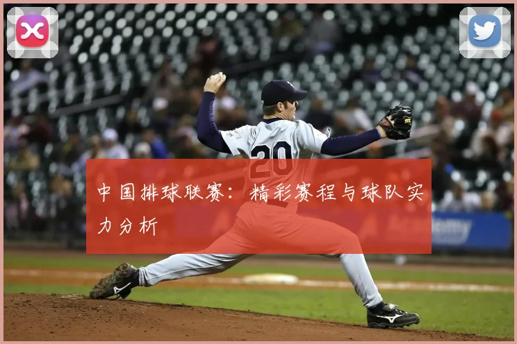 中国排球联赛：精彩赛程与球队实力分析