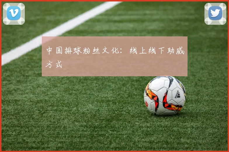 中国排球粉丝文化:线上线下助威方式