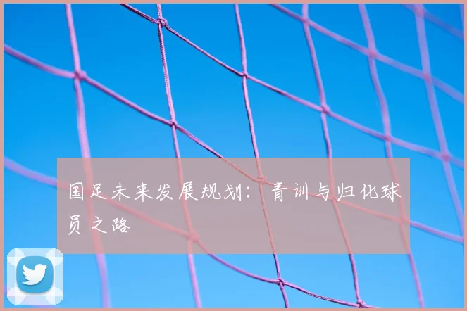 国足未来发展规划：青训与归化球员之路
