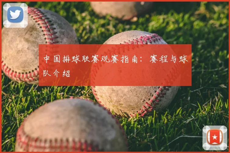 中国排球联赛观赛指南：赛程与球队介绍